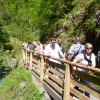 2012-06-080910 ellmau 023